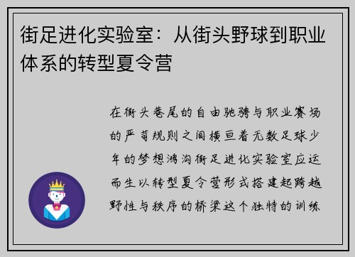街足进化实验室：从街头野球到职业体系的转型夏令营